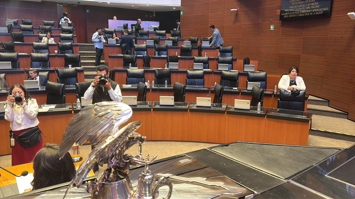 Vero Camino Farjat tweet media