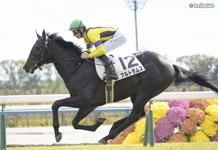 競馬ラボ tweet media