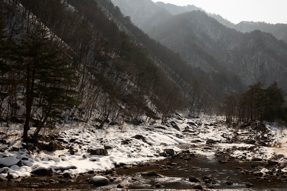 Maria Hatfield tweet media