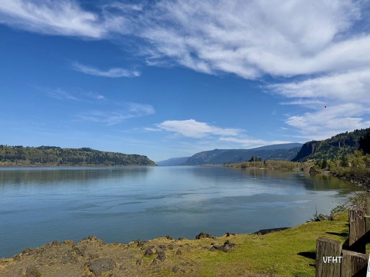 ࿋With fear for our Democracy, I dissent. #RBG tweet media