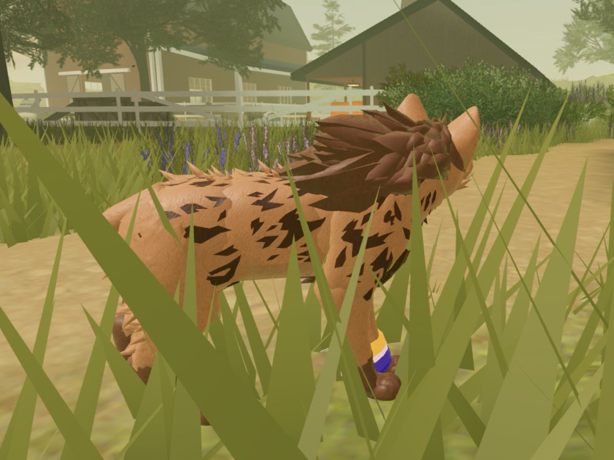 ≽^•⩊•^≼ tweet media