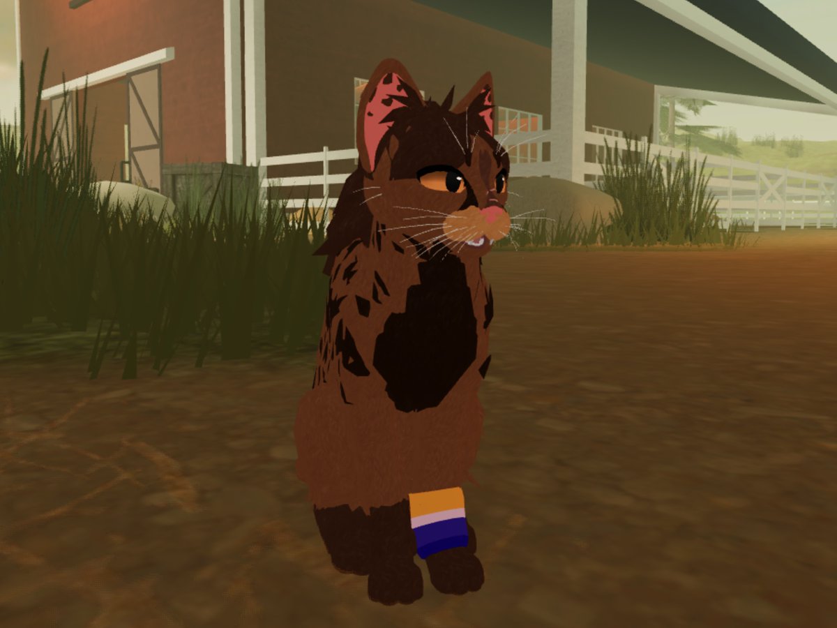 ≽^•⩊•^≼ tweet media