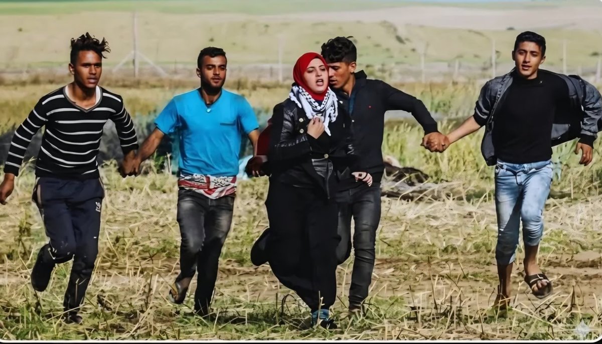 adempalabiyik_'s tweet image. Bu fotoğraf film değil !!!

Bu fotoğraf; Gazzeli kadını, Katil #israil'in keskin nişancılarından korumak için etrafında kalkan olan Müslüman erkeklerin fotoğrafıdır...

Ümmetin iffetini korumak, Gazze'nin bir avuç onurlu gençlerine kaldı !!!

Allah aşkına #GazzeyeOrduGönderin