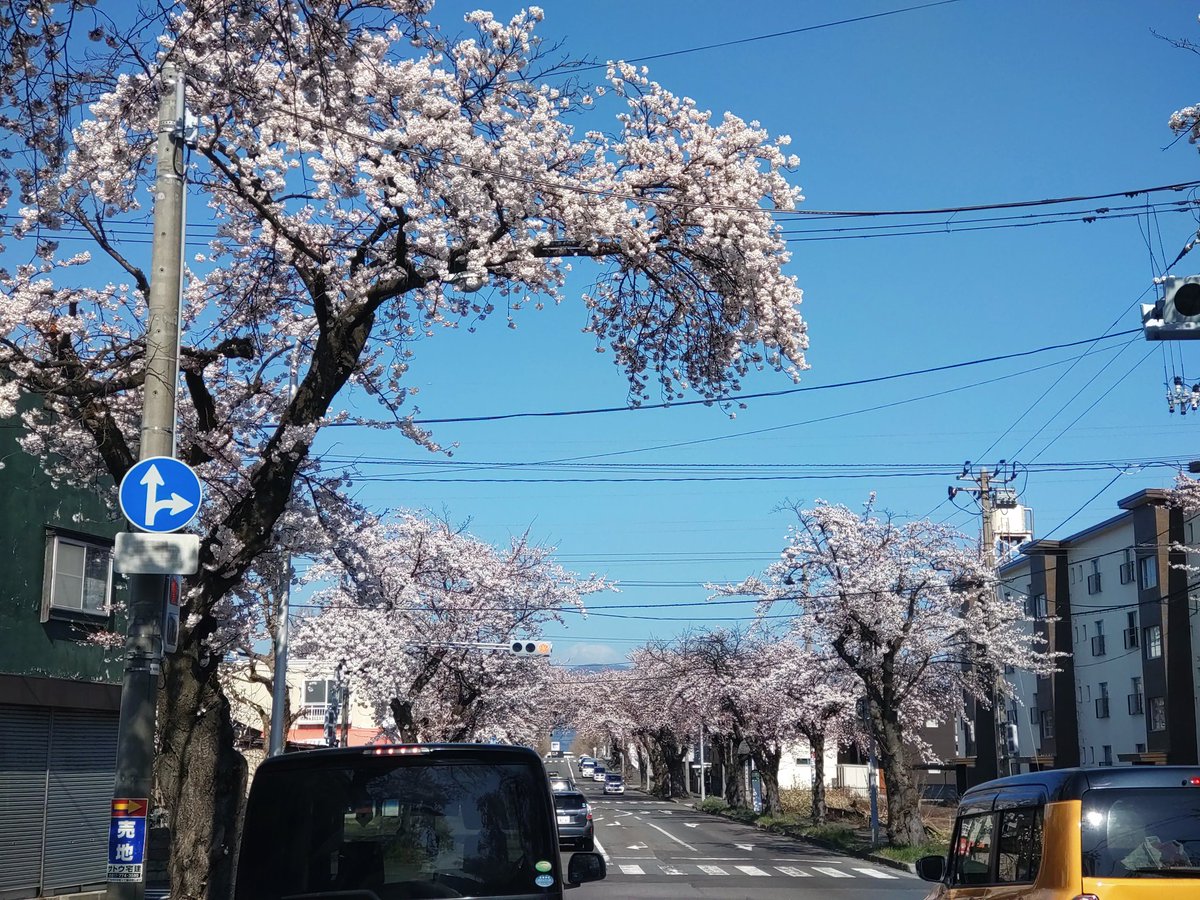 モリモリ tweet media