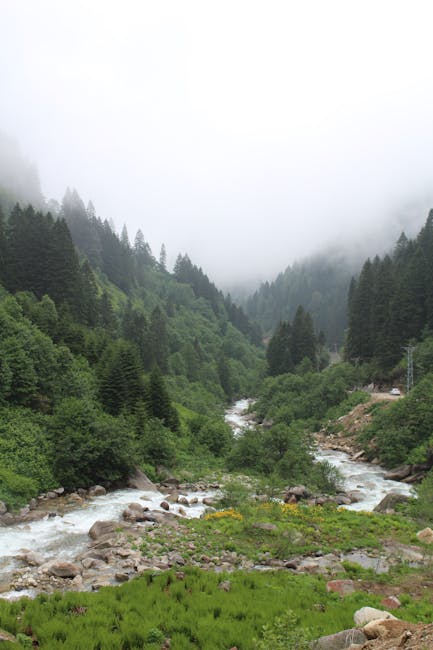 Tommy Robinson tweet media