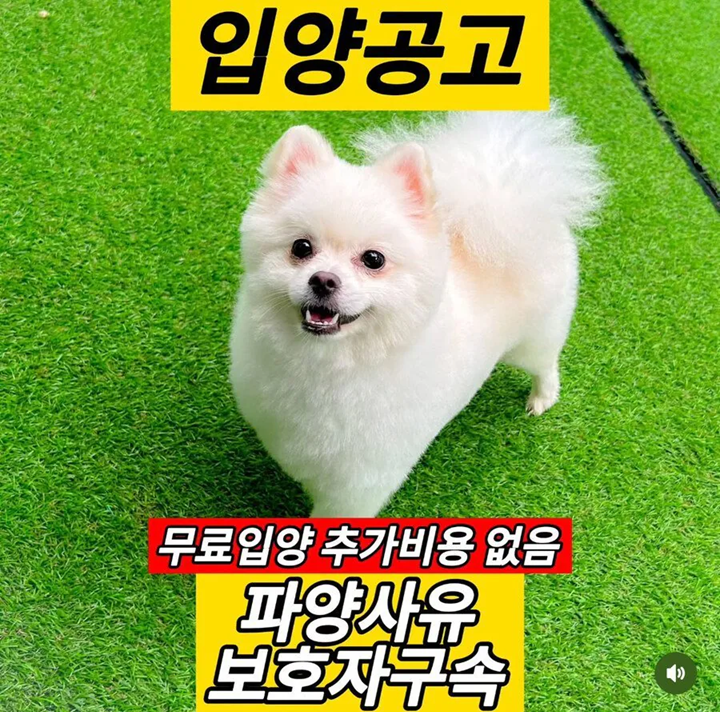 대환장 갤러리 tweet media