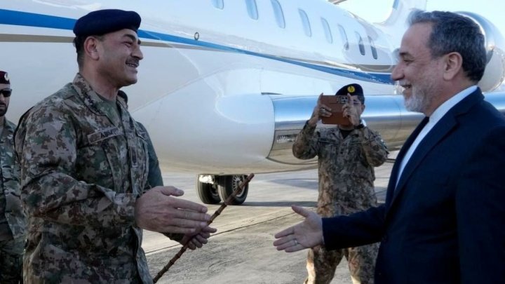 شقایقم tweet media