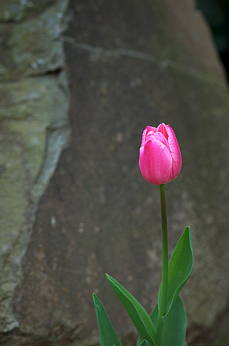 Celalettin Güneş tweet media