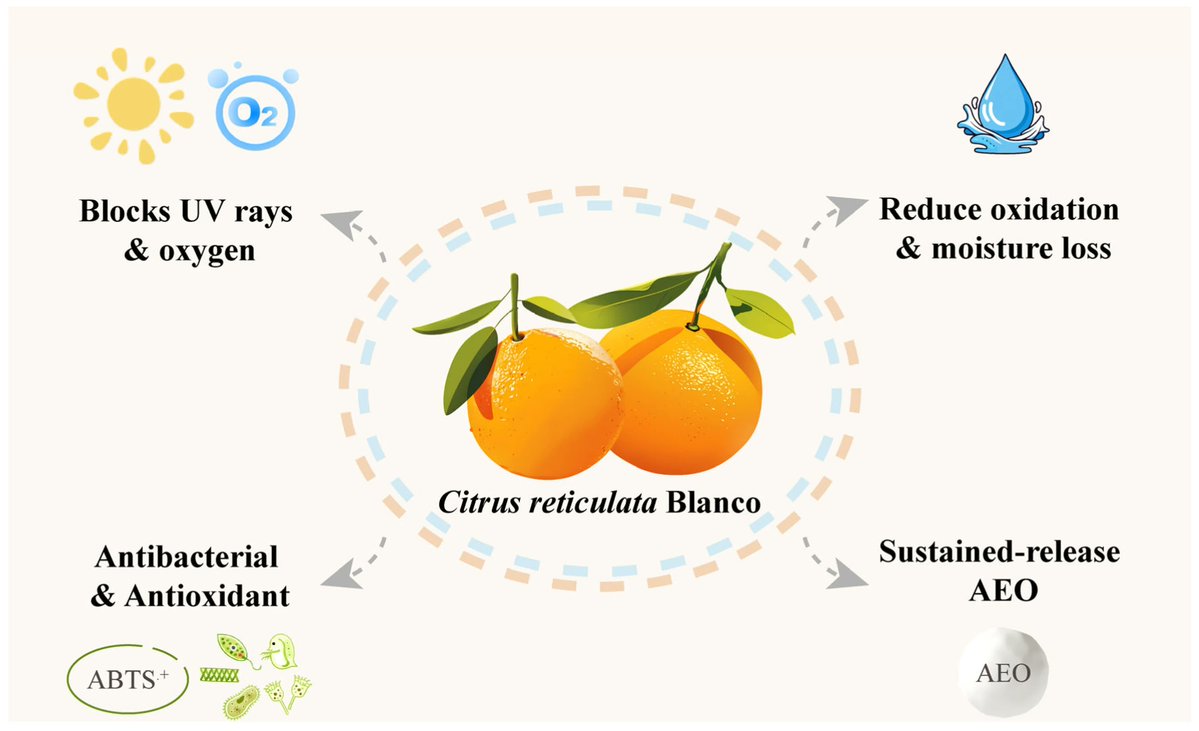 Horticul_MDPI's tweet image. Horticulturae - Editor Choice🍀

📖Title: 3D-Printed Bilayer Active Film with Anise Oil Nano-Emulsion and Carbon Quantum Dots for Shelf-Life Extension of Sugar #Tangerines.

✍️Paper written by: Qi Tian et al.

🔗Link: mdpi.com/2311-7524/11/9…

#MDPI #horticulture #science