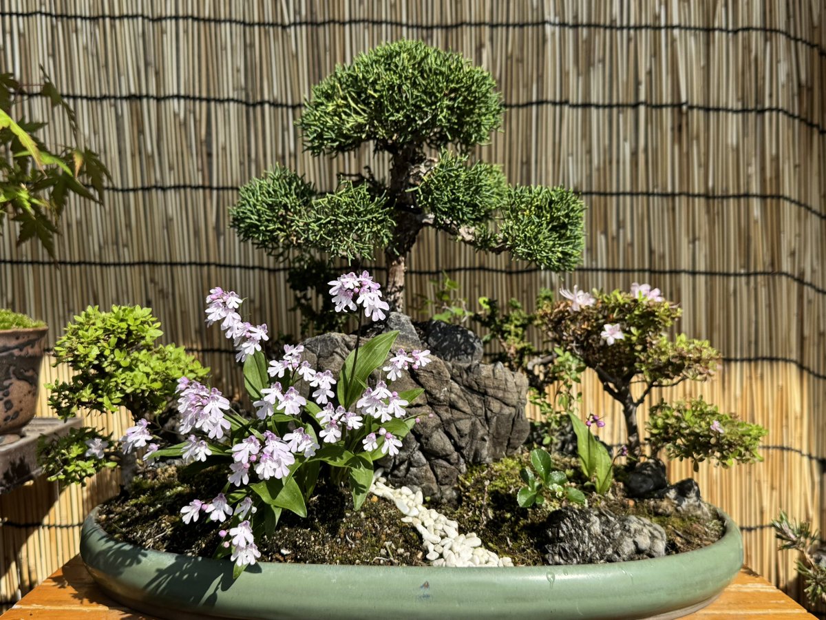 Second Life CBD tweet media