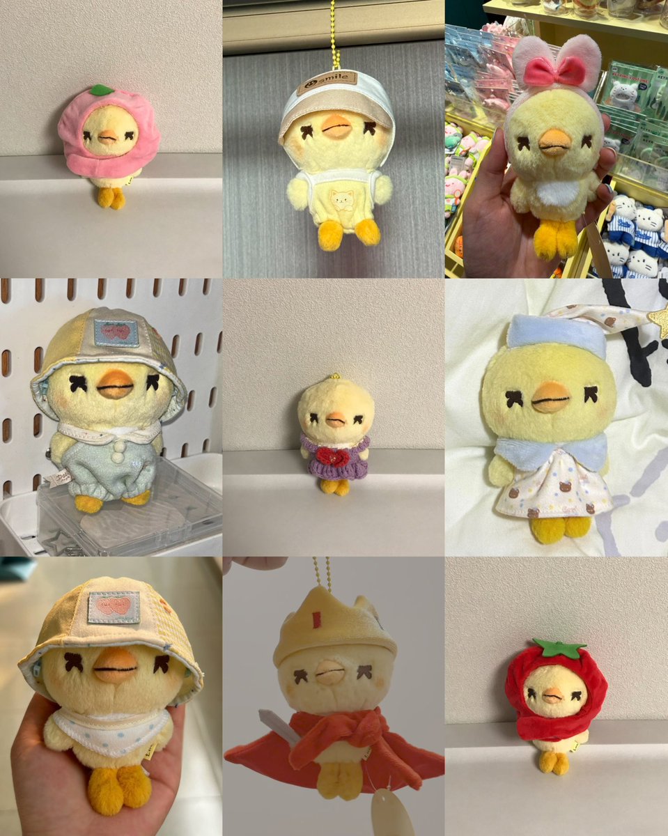 tulip🥕 tweet media