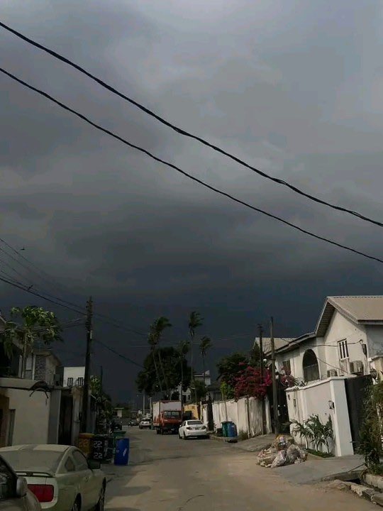 Jenny 🌸 tweet media