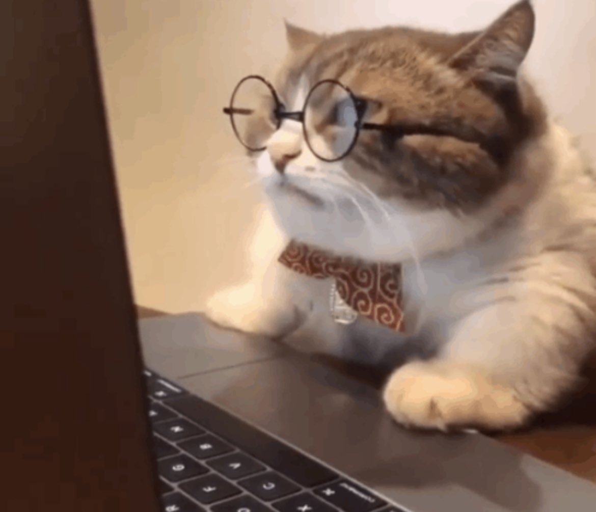 🍓𝕽𝖔𝖘𝖎𝖙𝖔 𝕱𝖗𝖊𝖘𝖎𝖙𝖔🍓 tweet media