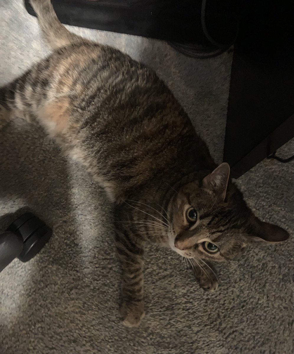 Soul King Grieveston 🇦🇷 tweet media