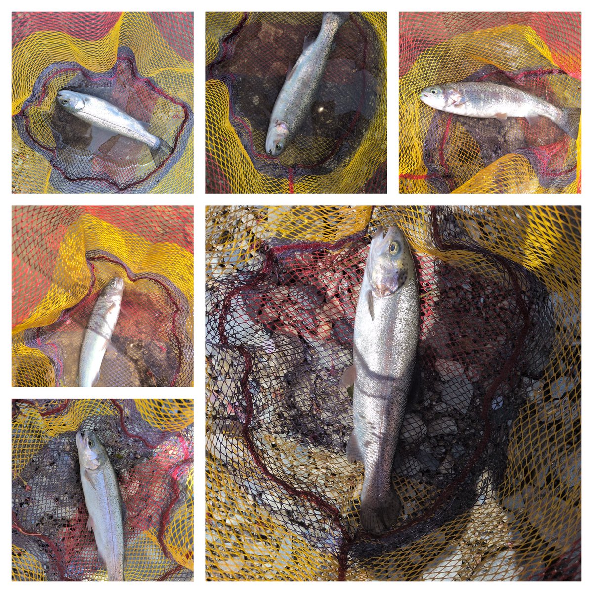 島ちゃん黒魂🌈 tweet media