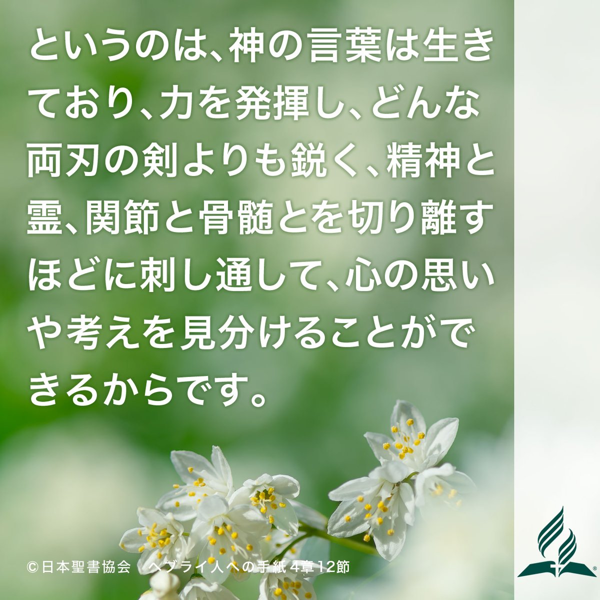 adventistjp's tweet photo. 祝福された安息日も終わり、新しい週が始まりました。
この暗唱聖句を心に留め、主と共に歩んでいきましょう。

#今週の暗唱聖句
#暗唱聖句
#聖書
#セブンスデーアドベンチスト教会 https://t.co/RxZu1i1LvY