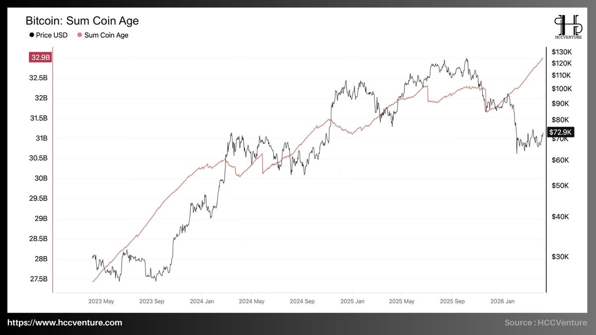 Hold Coin CVenture tweet media