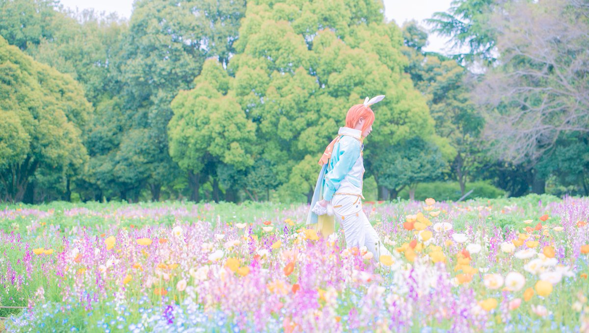 由峯畝ゆみ✡️ tweet media