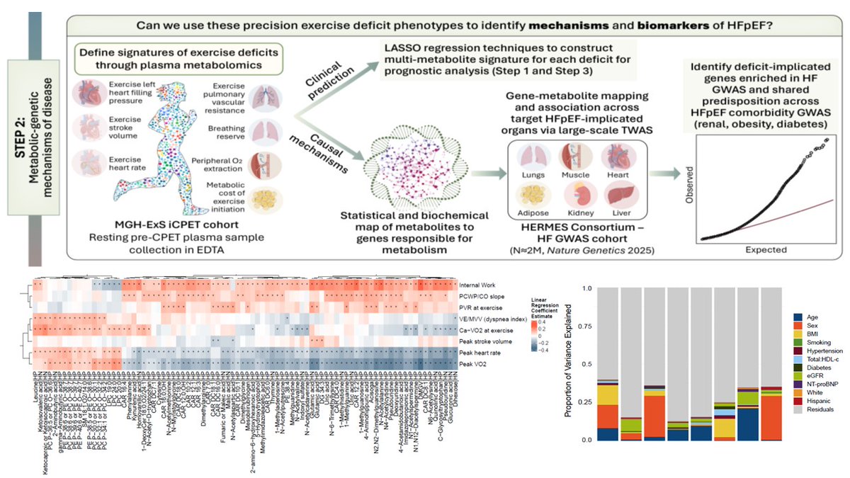 Greg Lewis tweet media