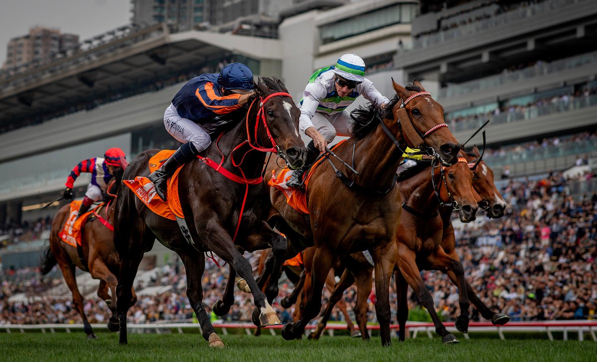 HKJC_Racing's tweet photo. Size hopeful conditions will aid Red Lion’s defence of G1 FWD Champions Mile crown. #FWDChampionsDay #HKracing 

@pjrydo writes. 

Read here 👉 https://t.co/27FwYkIlgt https://t.co/iB9X42PyDl