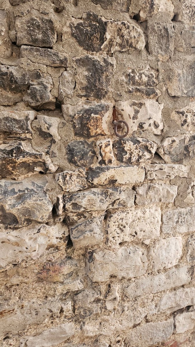 žensky bookowski tweet media