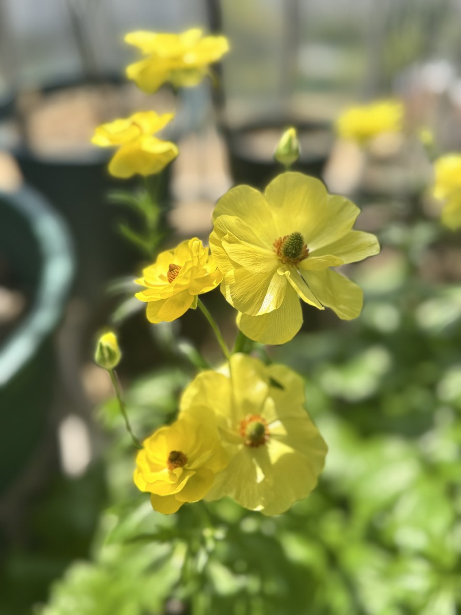 섬 ⛵️🕯️ tweet media