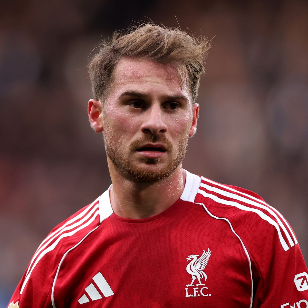 Living Liverpool tweet media