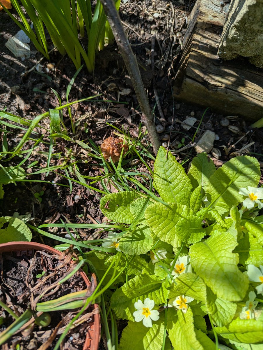 Кататравма и другие приключения жмурика tweet media