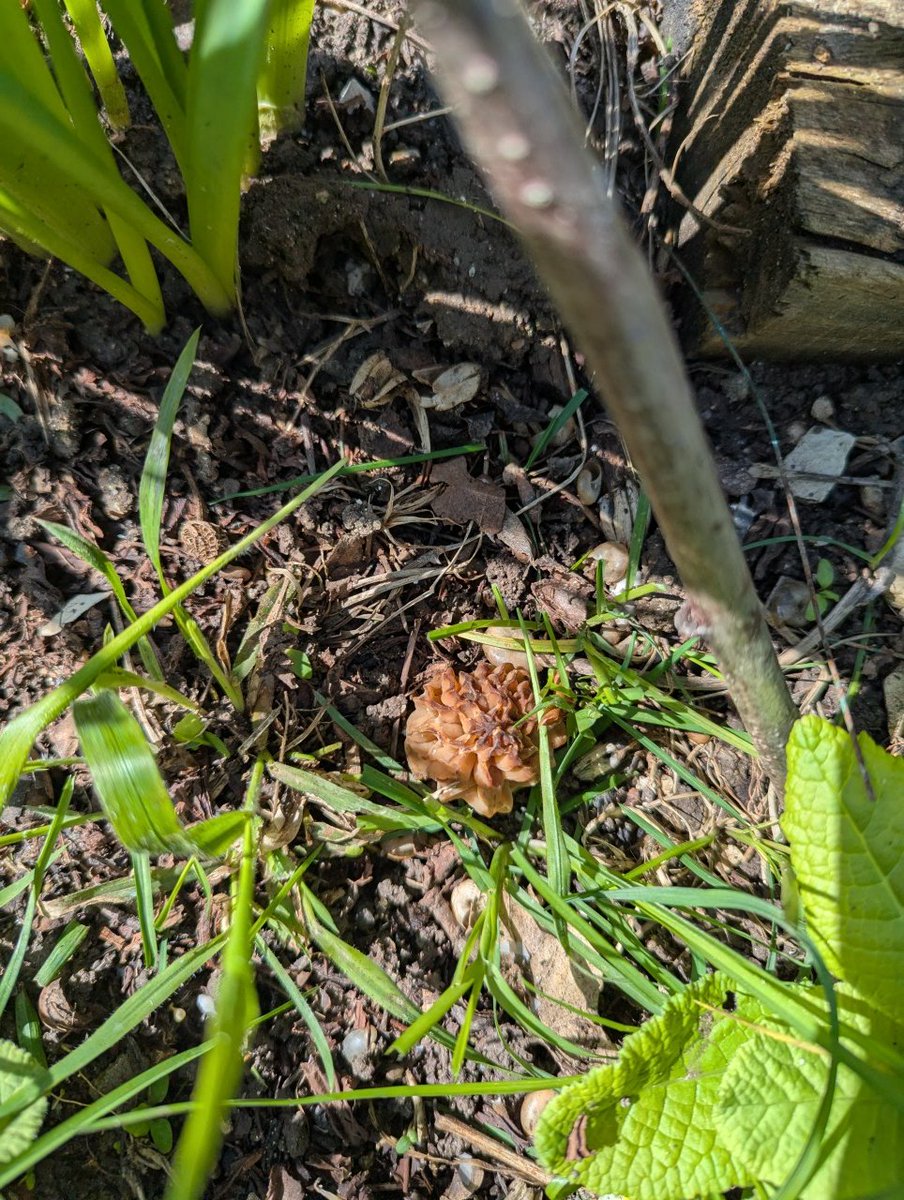 Кататравма и другие приключения жмурика tweet media