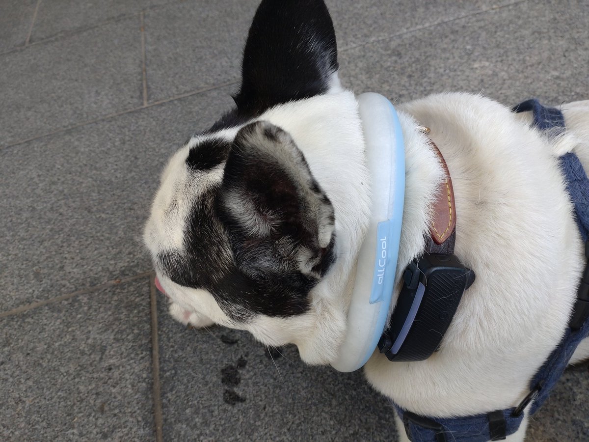 とちかママ tweet media