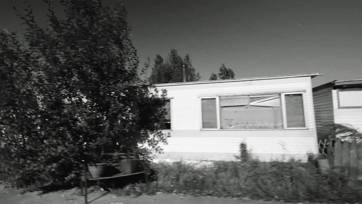 Documentary Club tweet media