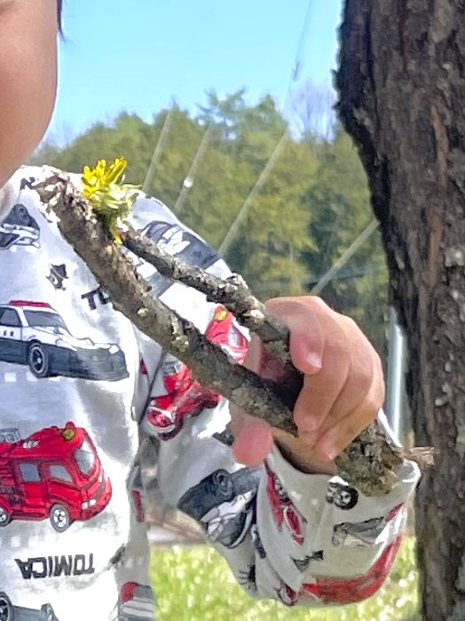 morinone_web's tweet photo. 見つけた枝が
いつのまにか“はさみ”になったり
“つまむ道具”になったり

自分で見つけて
自分で使い方を考える時間

そんな姿を見ていると
自然の中には遊びの種がたくさんあるなあと感じます𓂃𓈒𓏸

桜の下での発見も
春ならではの楽しみです🌸

#飛騨高山　
#高山市ネイチャーゲーム
#森のねさんぽ https://t.co/zHK6zuUL3I