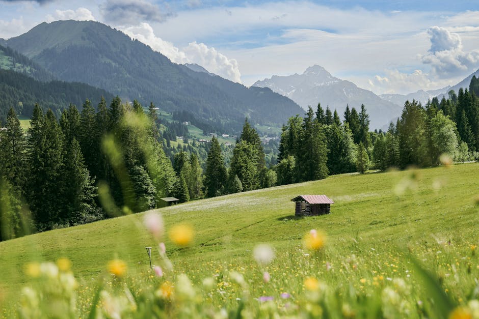 Chris Conner tweet media