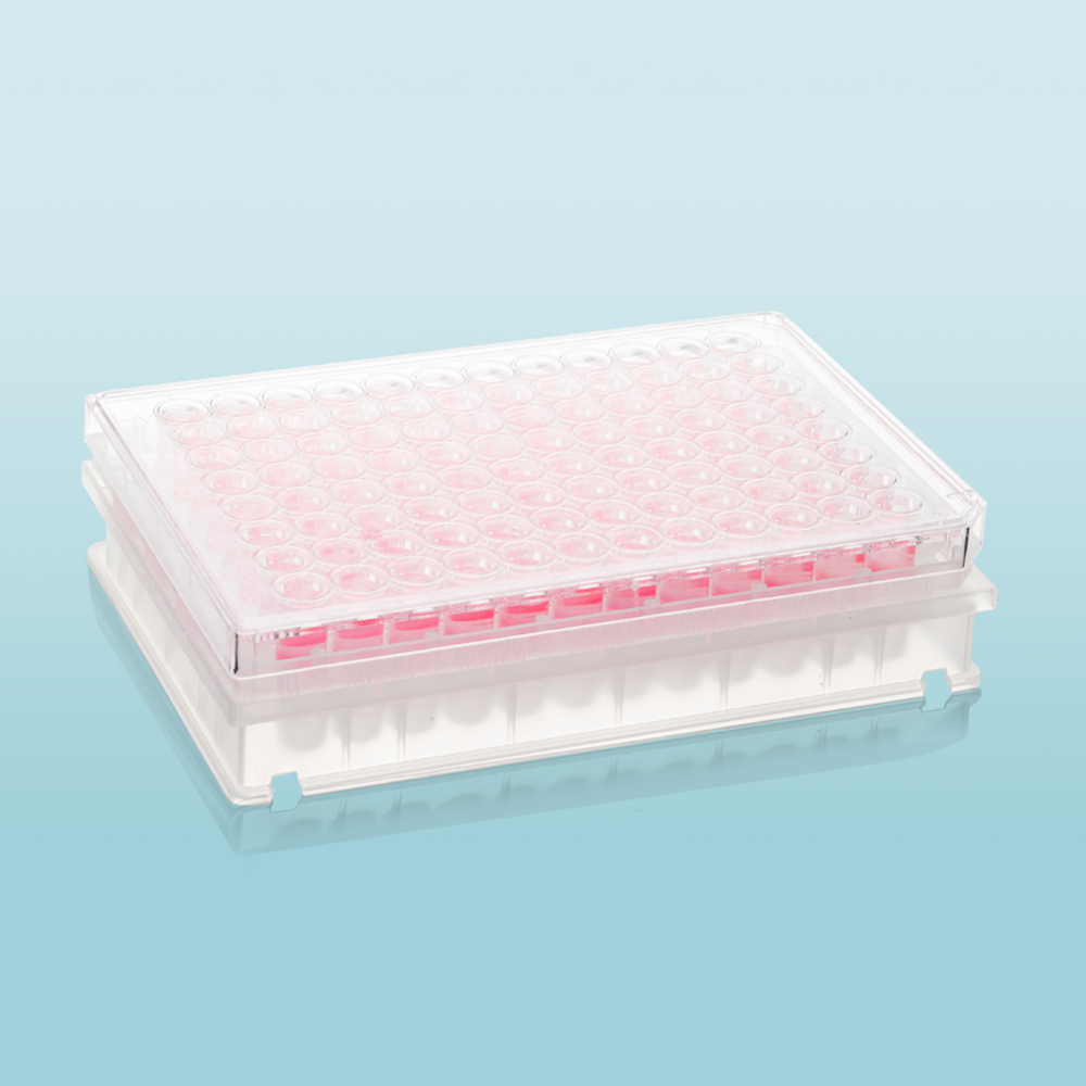 Biologix_USA's tweet image. 🧪 Biologix Precision Filtration Solutions

✅ Fast flow rates &amp;amp; high throughput
✅ Sterile, non-pyrogenic, surfactant-free
✅ Wide Range of Membrane Materials: PES, CA, PTFE, PVDF, Nylon, MCE &amp;amp; GF

🔗 BiologixUSA.com

#Filtration #LabSupplies #LifeSciences #Biotech