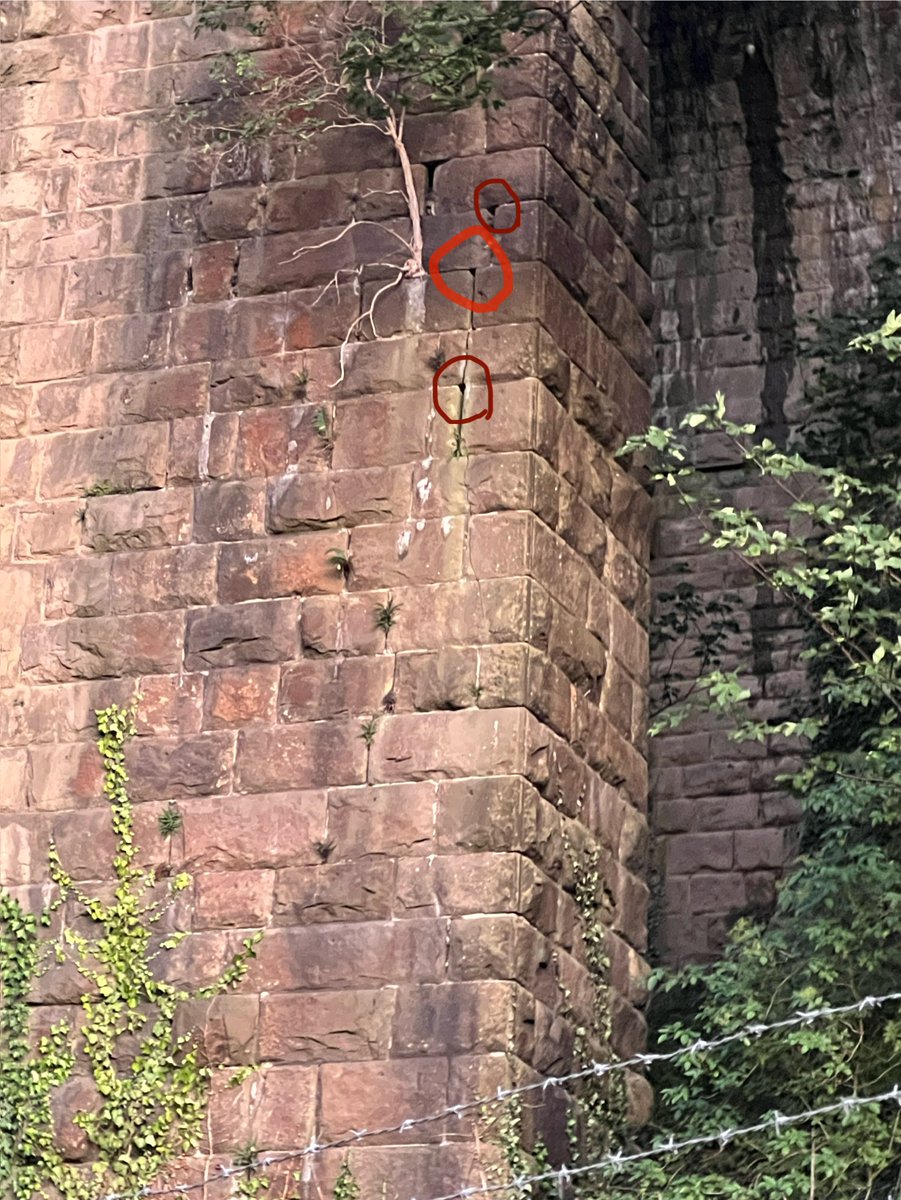 Deborah Pitman tweet media