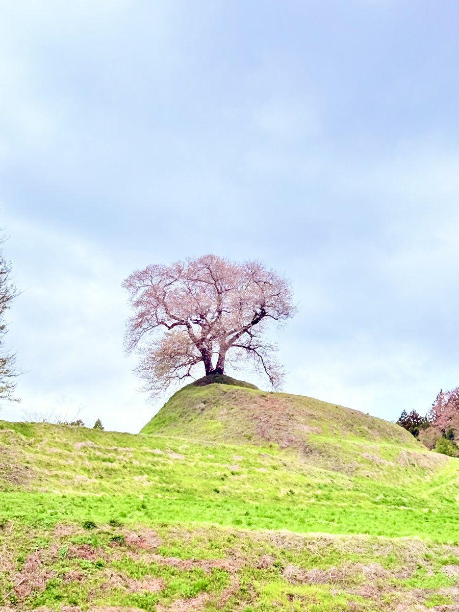 Akira☆永遠のかけだしキャンパー☆ tweet media