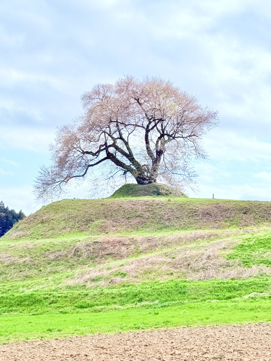 Akira☆永遠のかけだしキャンパー☆ tweet media