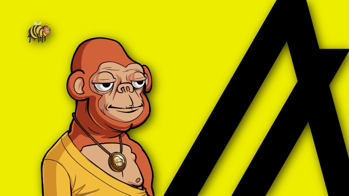 mcalgorand's tweet image. As Silvio’s brain is indeed alien here is a summary of how #fiatchain benefits the wider ecosystem. 🧠 

#Algorand’s Fiat Chain is a high-speed "private lane" for banks to trade digital currency (stablecoins).

How it helps $ALGO:
•Proof of Concept: Huge institutional volume