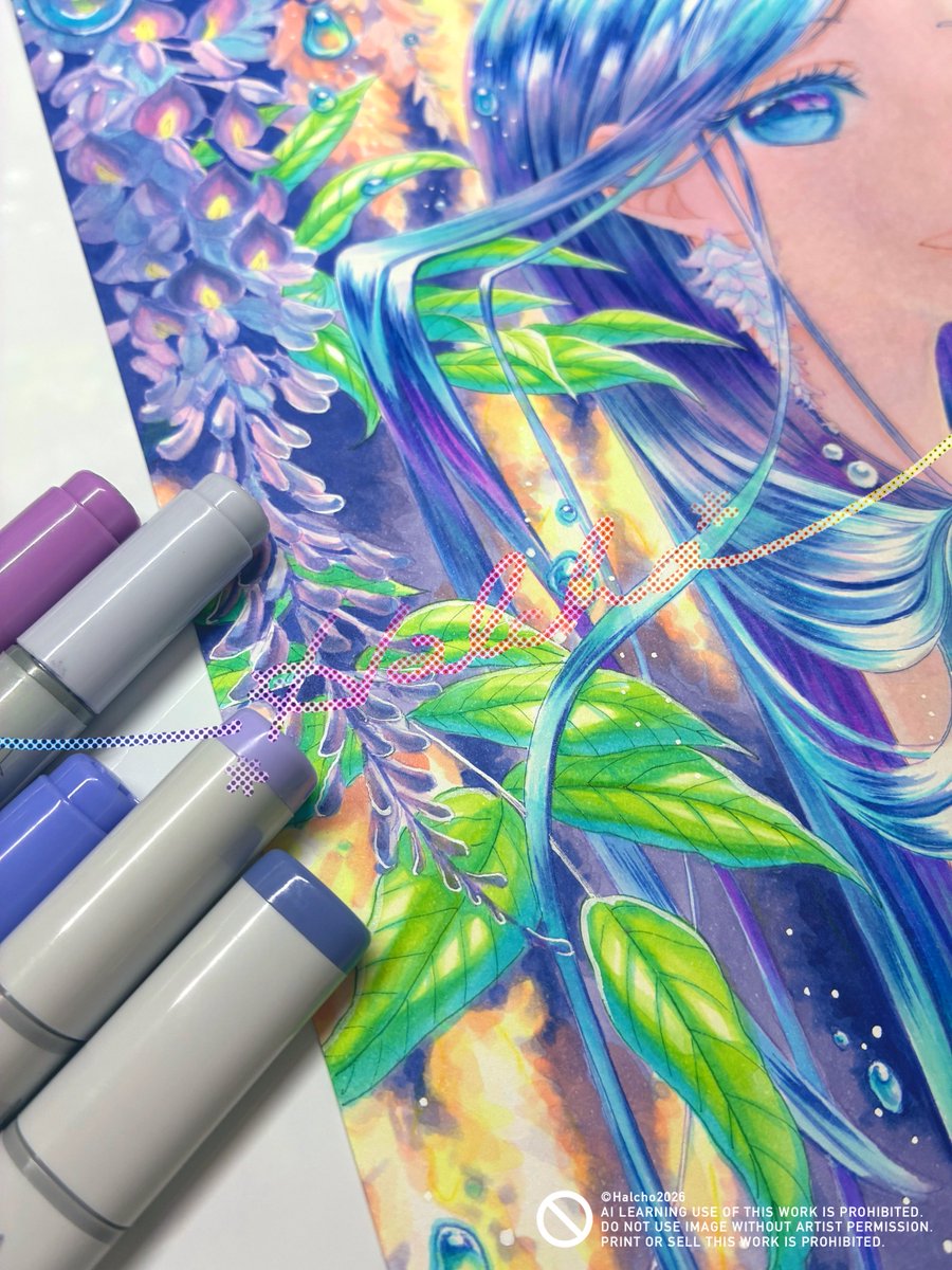 春鳥 Halcho tweet media