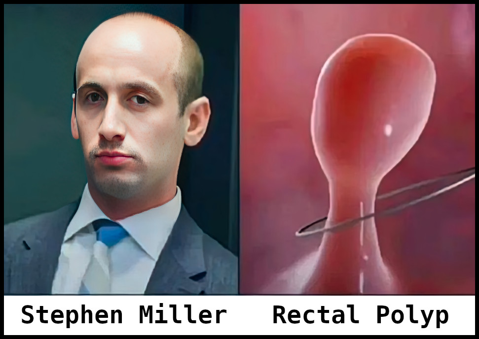 Glass-blowin' Cobra Man tweet media