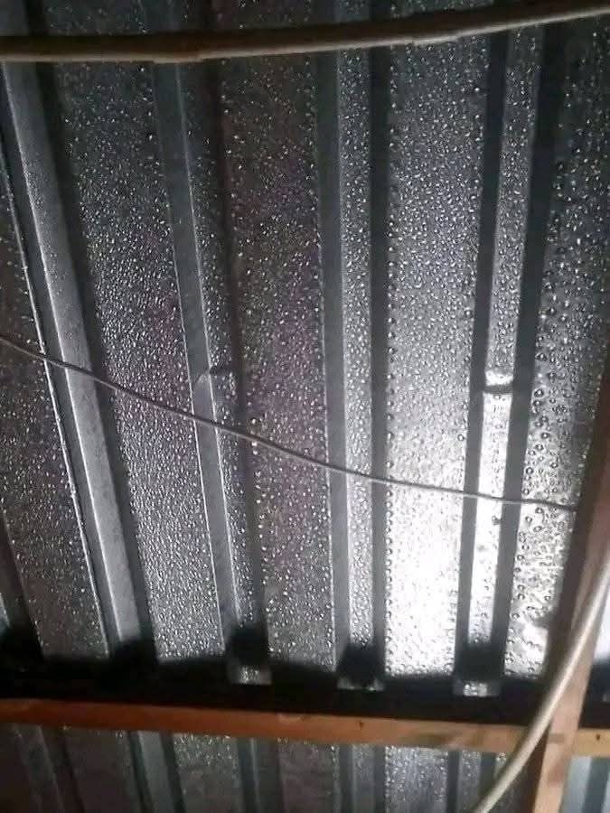 Lassy 🗑 Laden tweet media