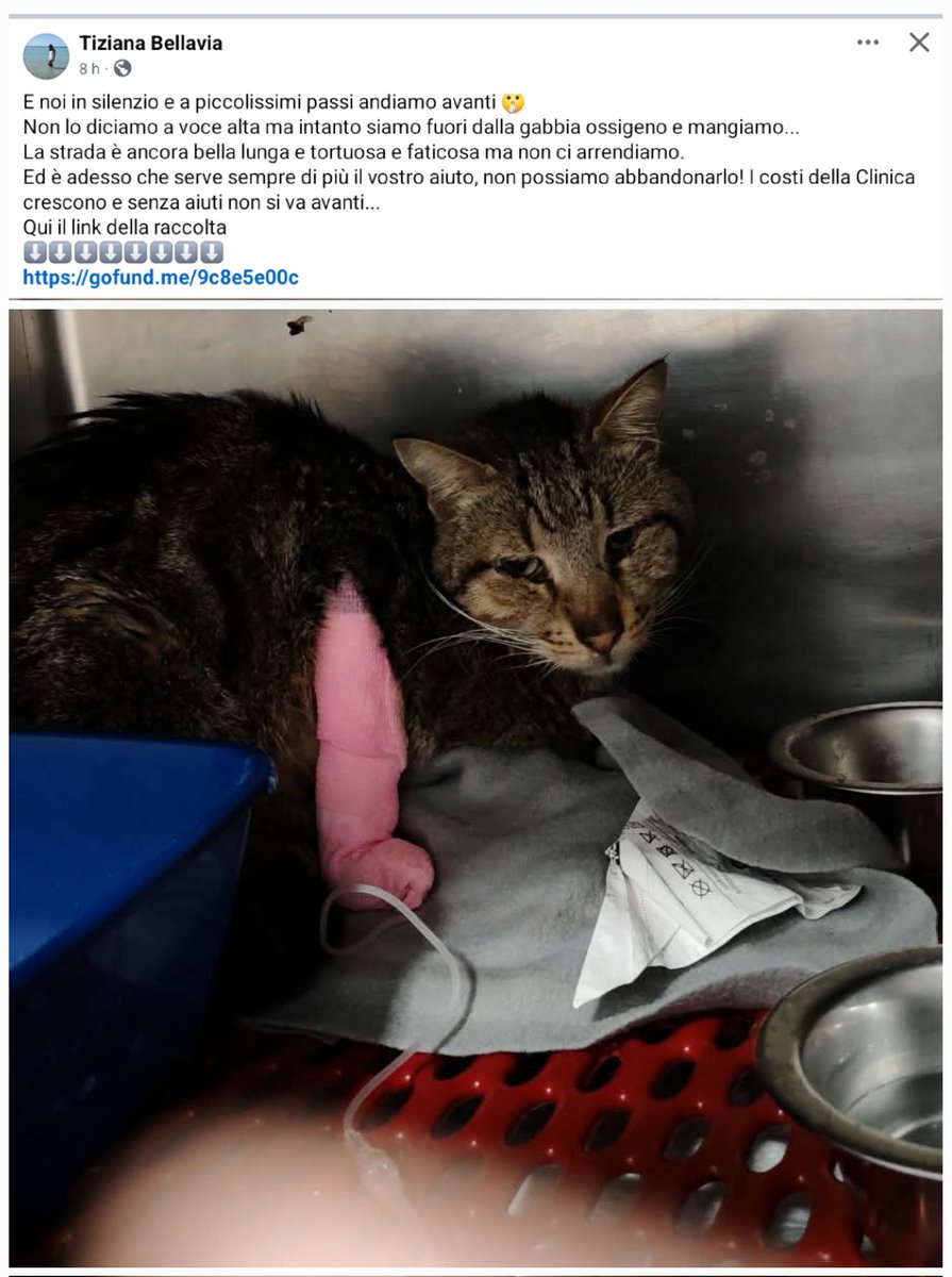 un atto d'amore odv tweet media