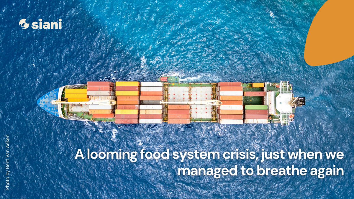 SIANIAgri's tweet photo. BLOG POST ⎮

In a new op-ed, @SEIresearch Selorm Kugbega warns that fragile supply chains, fertilizer dependency, and rising geopolitical tensions are setting the stage for repeated shocks. 

Read more: https://t.co/uuVV6gwpli https://t.co/ZRRhSGghQL