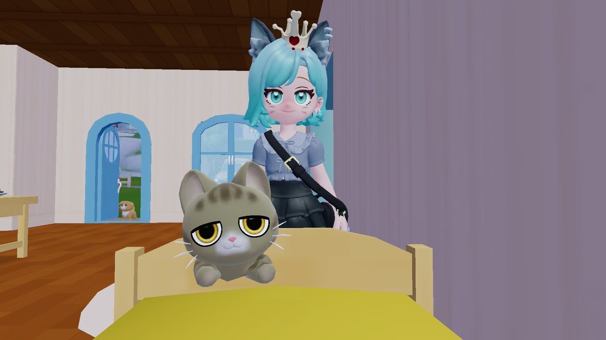 🍀にゃごん/みどり姉🐈‍⬛🐾 tweet media