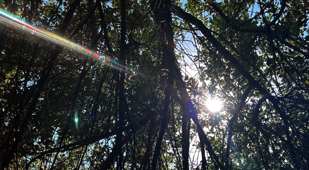 𝐄𝐢𝐥𝐀𝐅 🌼 tweet media