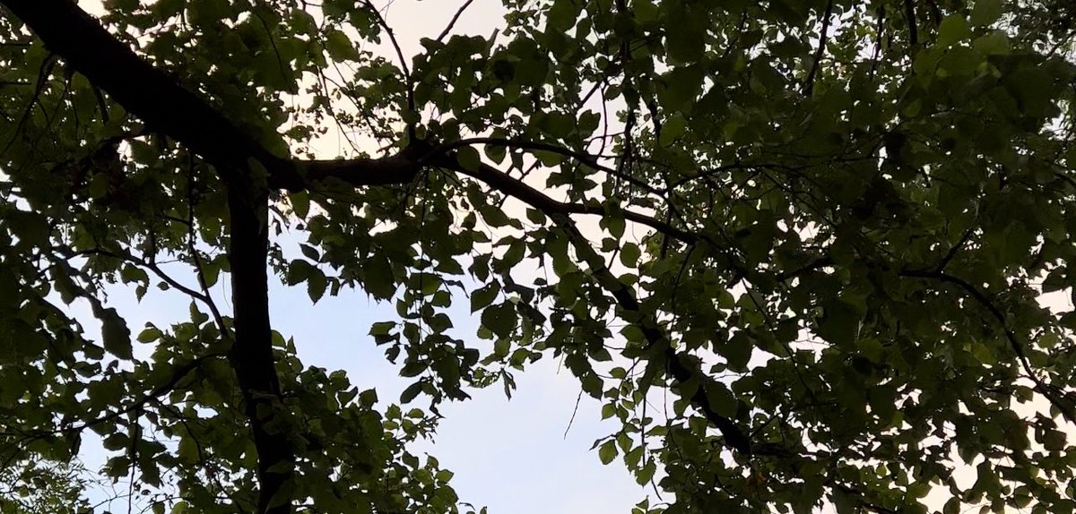 𝐄𝐢𝐥𝐀𝐅 🌼 tweet media