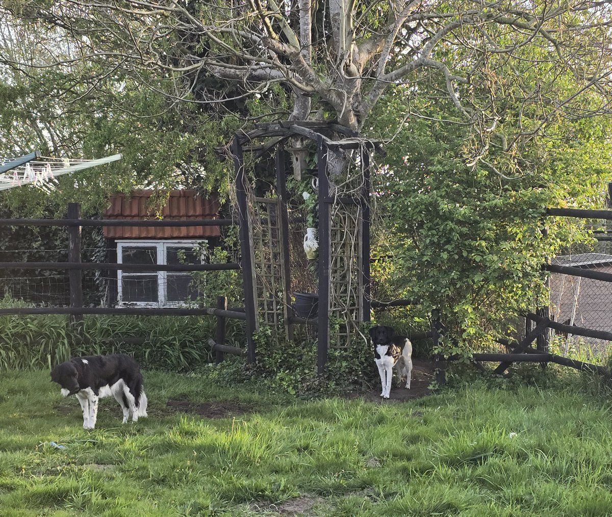 🪷ℕatascha🌿 tweet media