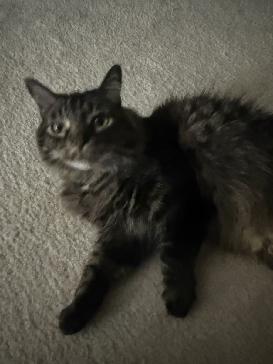 aZooRe's tweet photo. My children are officially 10 years old today!!! One whole decade of being my greatest support system through so many ups and downs 🥰 https://t.co/e5Fo2V1Oat