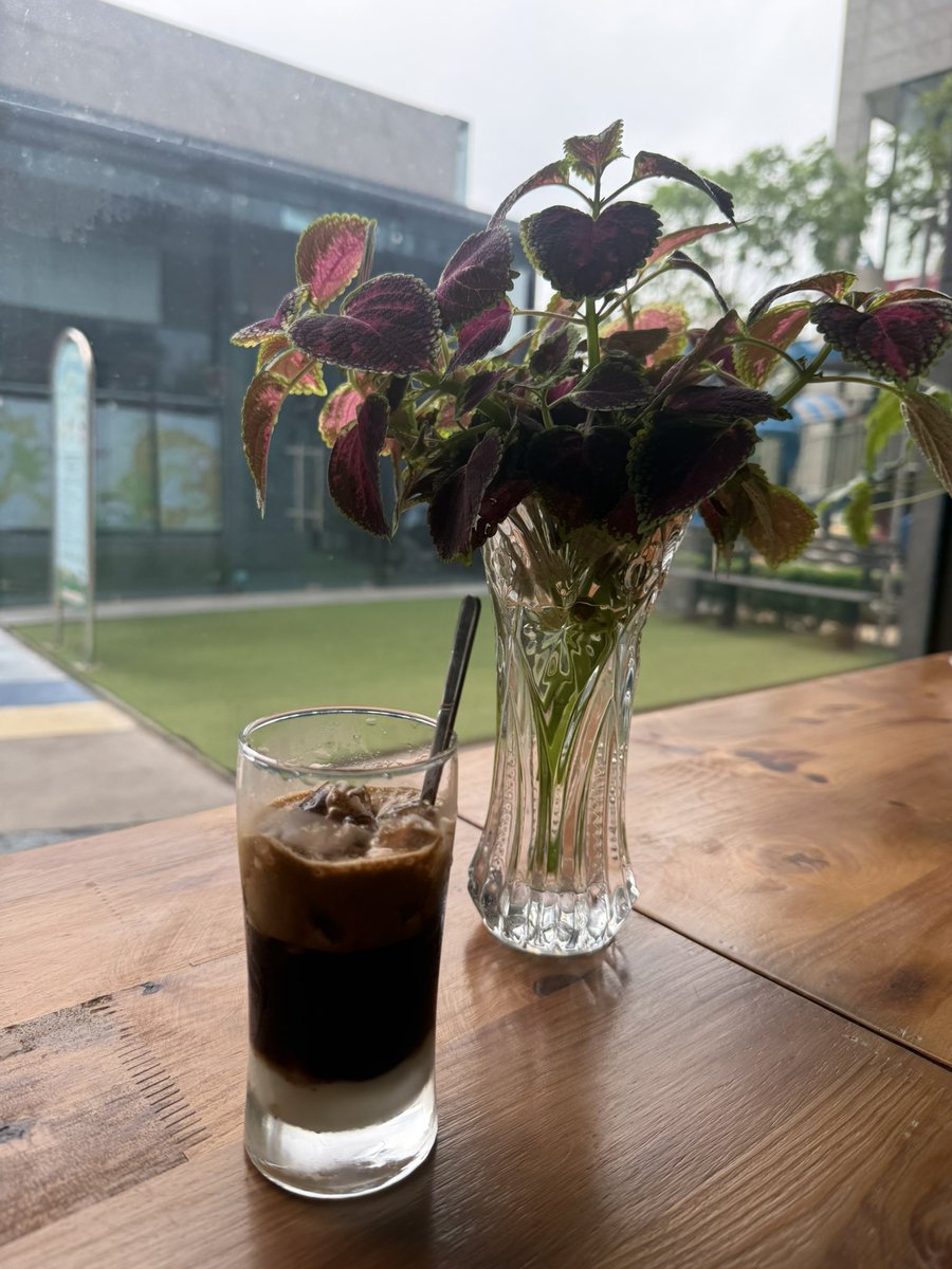 Nhạn Đào | Aurora tweet media