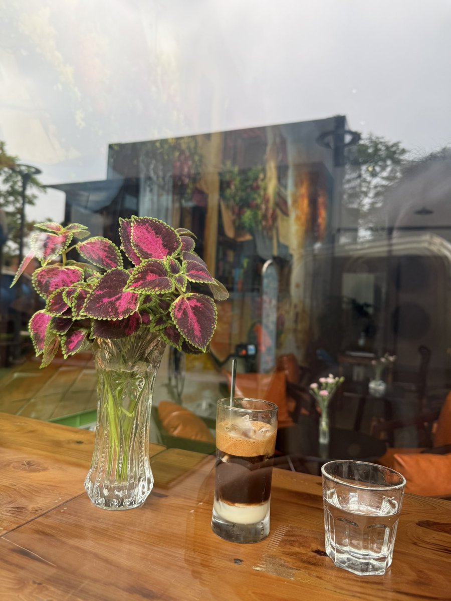 Nhạn Đào | Aurora tweet media